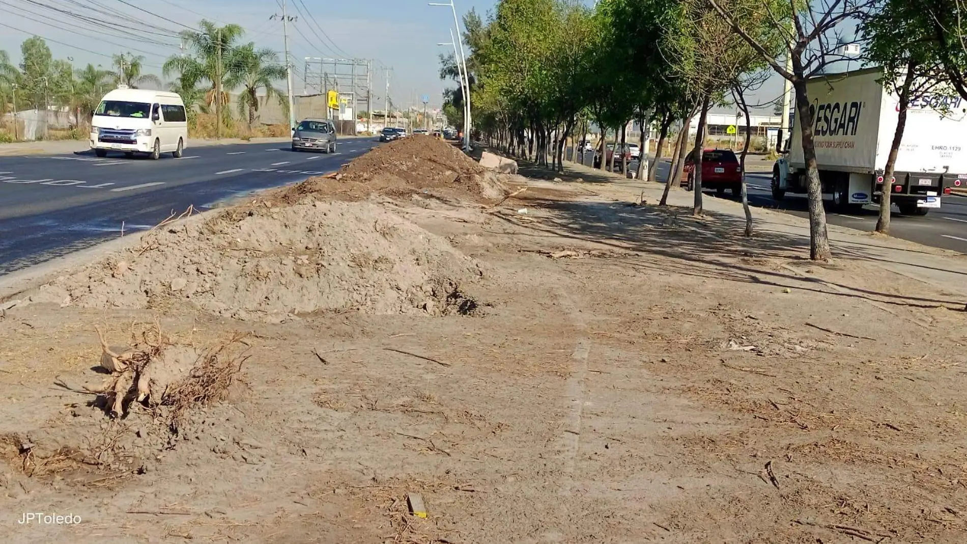 Foto. Pabñp Toledo Tala de árboles